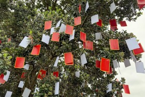 637844879 927780489771536 1301314551739003826 n